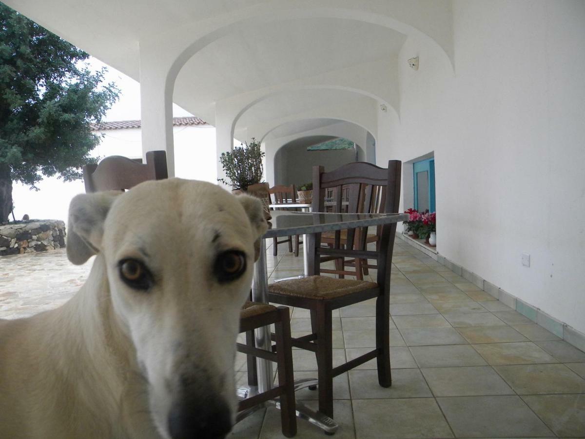 Agriturismo Sa Conca Ruia Orosei Zewnętrze zdjęcie